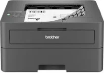 Brother HL-L2400DW printer