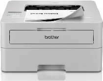 Brother HL-L2865DW printer