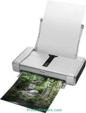 Canon PIXMA iP1000 printer