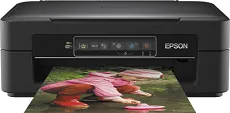 Epson Expression Home XP-245 Driver
