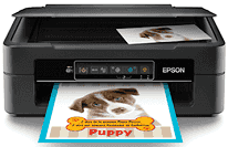 Epson XP-241 all-in-one printer